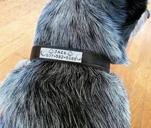 Load image into Gallery viewer, Personalized Name Plate For Dog Collars/Leashes
