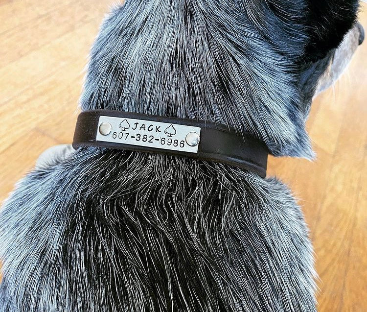 Personalized Name Plate For Dog Collars/Leashes