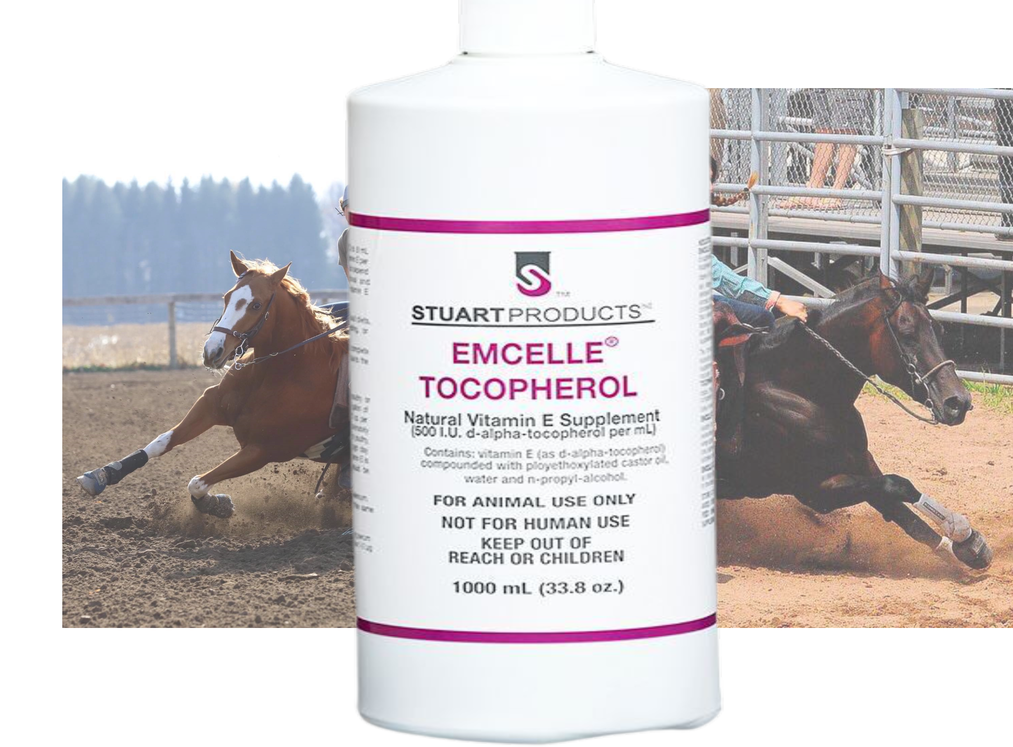 Emcelle - Water Soluble Natural Vitamin E – Diamond K Performance